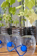 Eco Style: Plants in Plastic Bottles
Photos showcasing the reuse of plastic bottles for eco-friendly projects and zero waste content.