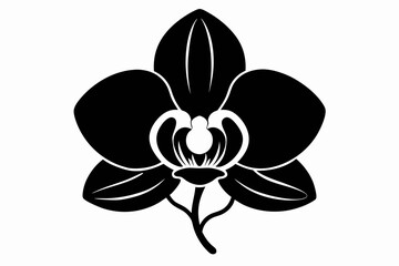 Orchid flower silhouette, Orchid flower vector icon isolated on white background.