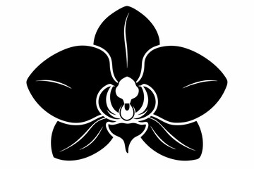 Orchid flower silhouette, Orchid flower vector icon isolated on white background.