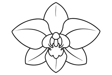 Orchid flower silhouette, Orchid flower vector icon isolated on white background.