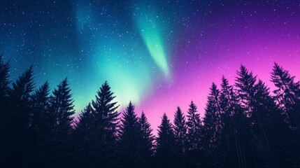 Naklejka premium A stunning night sky features vibrant auroras in shades of green and purple, set against a silhouette of dark evergreen trees.