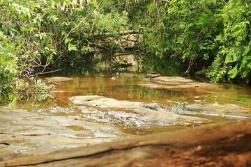 Whispers of the Mountain Stream
