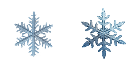 Macro shot of two large frozen snowflakes. Detailed ice crystal structure. Frozen winter scene. Detailed macro image of snowflakes. Winter wonderland. Detailed frosty snowflake. Winter ice crystals.