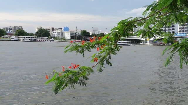 Pier on the Chao Phraya River in Bangkok with a ship gliding in the distance. A dynamic cityscape blends tradition and modernity, capturing the essence of Thailand's vibrant waterways
