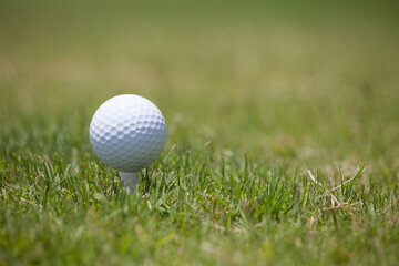 White Golf Ball on a Tee on Green Grass – Perfect Golf