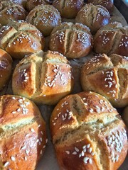 homemade buns sprinkled with sesame seeds