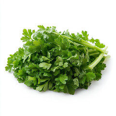 Obraz premium A Bunch of Fresh Green Parsley Leaves