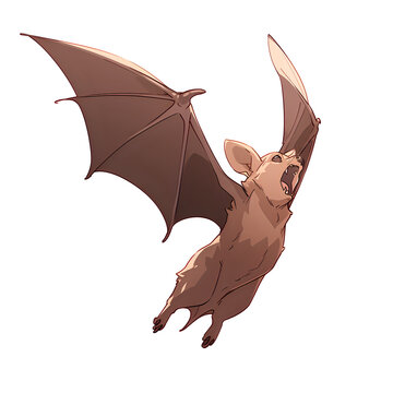 brown bat flying isolated white background clip art preview
