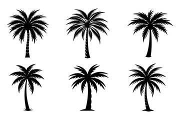 Set of palm tree Silhouette vector illustration