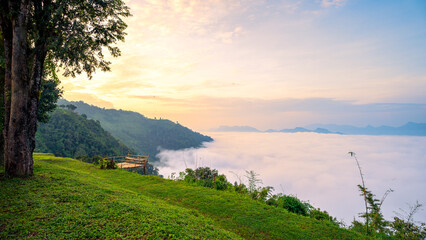 Landscape view of mist or fog over the mountain valley  during sunrise with green grass field in foreground.