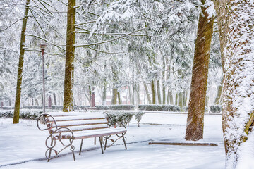 Astonishing view of park bench and trees covered by heavy snow.