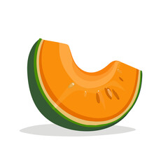 Simple flat 2D illustration of a cantaloupe isolated on a white background, vector 2D design, icon, illustration