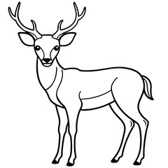 A Simple and Clean Deer Line Art Vector Illustration with Black and White