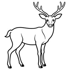 A Simple and Clean Deer Line Art Vector Illustration with Black and White