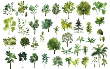 Obraz premium A collection of minimalist vector outline trees, ideal for architectural plans