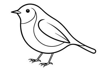 Fototapeta premium Elegant Line Drawing of a Robin Minimalist Vector Art Illustration