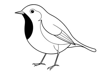 Elegant Line Drawing of a Robin Minimalist Vector Art Illustration