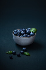 Fresh Blueberries Blueberry Still Life