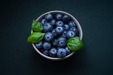 Blueberries in a Bowl Top Down Still Life