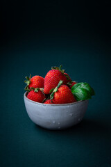 Fresh Strawberries in a Bowl Still Life