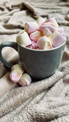 hot chocolate with marshmallow in a cup. hot chocolate with marshmallow in a cupertical photo