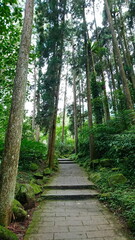 Nantou, Taiwan - 8.10.2018: An empty hiking trail in the Xitou Nature Education Area surrounded by trees on a sunny day under a bright sky during the summer