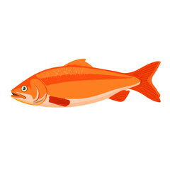 Simple flat 2D illustration of cod fillet isolated on a white background, Ai design, flat 2D design, vector design, 2D