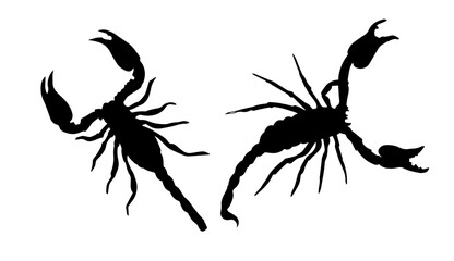 Scorpio insect zodiac sign, Silhouette Of A Scorpion, Scorpio Tattoo. Hand drawing. Not AI, Vector illustration