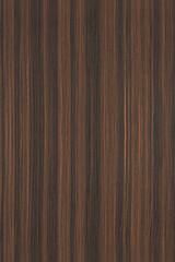 Close up of the seamless walnut texture