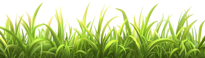 Fototapeta premium Lush green grass with vibrant blades on a white isolated background. transparent background