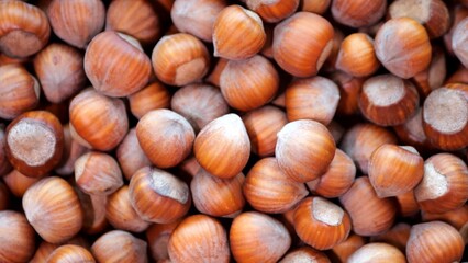 Nut texture Brown shell hazelnut. hazelnuts close-up