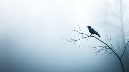 A solitary bird perched on a foggy branch.