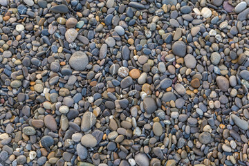 Pebble on beach on sea in overcast morning, top view