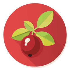Simple flat 2D illustration of cranberry isolated on a white background, vector, flat design, 2d flat design