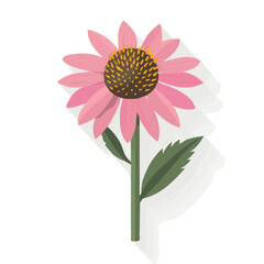 Simple flat 2D icon of echinacea isolated on background, vector design, ideal for animation, UI/UX design, mobile apps, web design, digital illustrations, flat