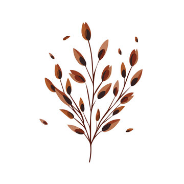 brown leaves on white background clip art preview