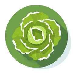 Simple flat 2D illustration of green leaf lettuce isolated on a white background, ai, flat 2d design, ideal for animation, UI/UX design, mobile apps, web design, digital illustrations