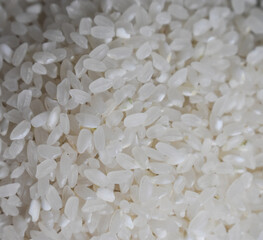 Photographing organic white rice texture background. Rice background