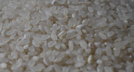 Photographing organic white rice texture background. Rice background