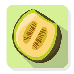 Simple flat 2D illustration of a honeydew melon isolated on a white background, vector 2D design, icon