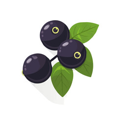 A simple flat 2D icon of Jabuticaba isolated on the background, vector design, ideal for animation, UI/UX design, mobile apps, web design, digital illustrations