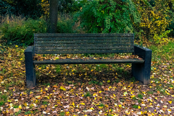 A dark wooden bench with a slatted back and seat rests on a patch of grass