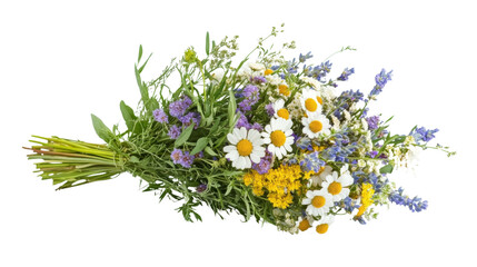 Meadow flower bouquet transparent background © Komora