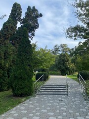 beautiful park in the city