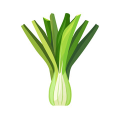 Simple flat 2D illustration of a leek isolated on a white background, vector 2D design, icon, flat 2d