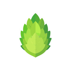 A simple flat 2D icon of lettuce isolated on a background, vector design, ideal for animation, UI/UX design, mobile apps, web design, digital illustrations