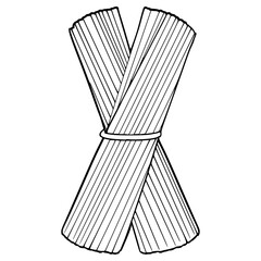 spaghetti stick illustration hand drawn outline vector