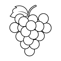 Grapes Line Art Vector Illustration on white Background