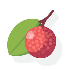 Simple flat 2D icon lychee isolated on a transparent background, vector, flat design, animation design, vector, flat design, animation design, simple flat 2D icon lucuma design, simple lychee