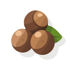 Simple flat 2D icon brown macadamia nuts isolated on a transparent background, vector, flat design, animation design, vector, flat design, animation design, simple flat 2D icon macadamia nuts design